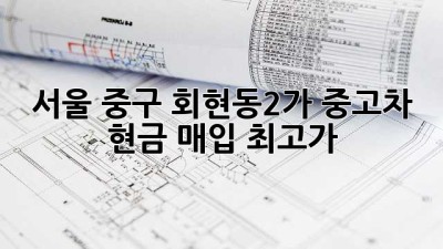 서울 중구 회현동2가 중고차 현금 매입 최고가!