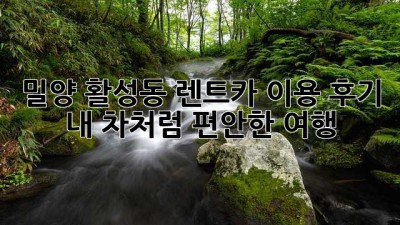밀양 활성동 렌트카 이용 후기: 내 차처럼 편안한 여행🚗